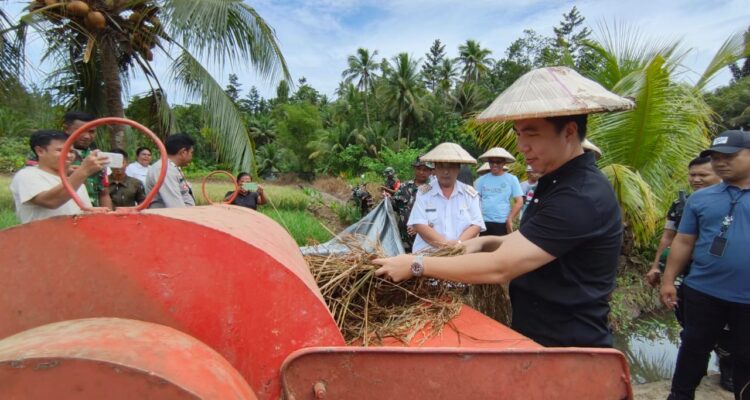 1b353b1f-554c-47fd-a9a4-20b494c04489