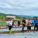 f54ed39c-8f34-4dee-94e1-79e571649429