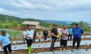 f54ed39c-8f34-4dee-94e1-79e571649429