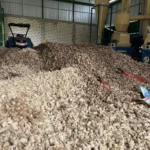 1758429892-4032x3024