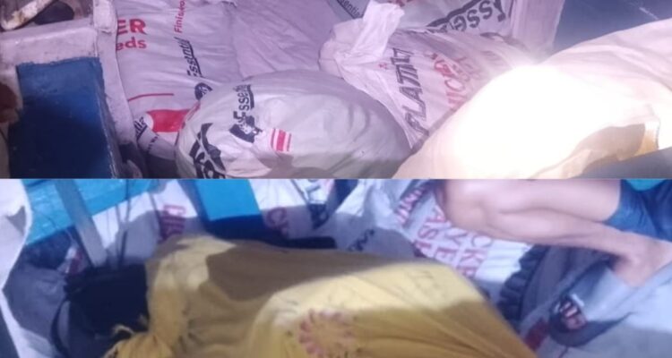 IMG-20260520-WA0002