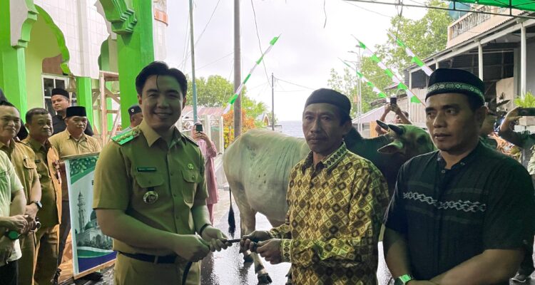ad2d036a-237d-4744-b454-3e0b0e52e52c