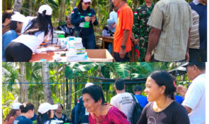 created by photogrid